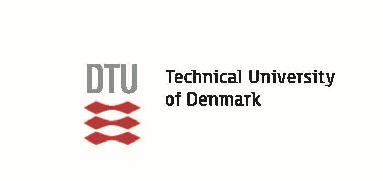 About Technical University of Denmark About Technical University of Denmark